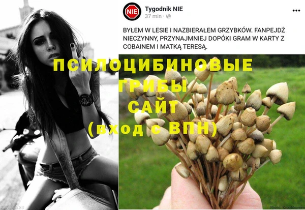 ECSTASY Вязники