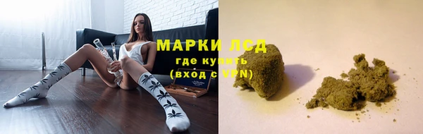 гидропоника Вязьма