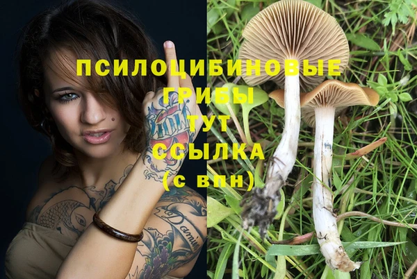 ECSTASY Вязники