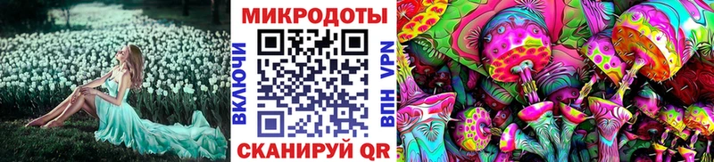где продают наркотики гидра ссылки Псилоцибиновые грибы прущие грибы Архангельск